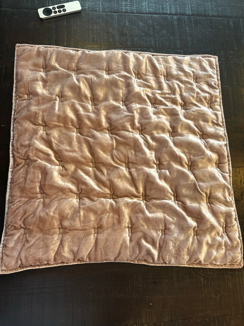 3 West Elm Euro Velvet Shams